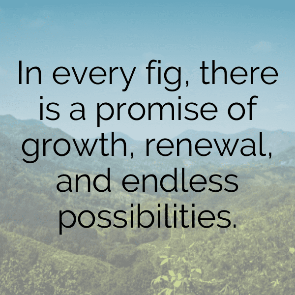 Fig Captions Image For Instagram-VXLyQG