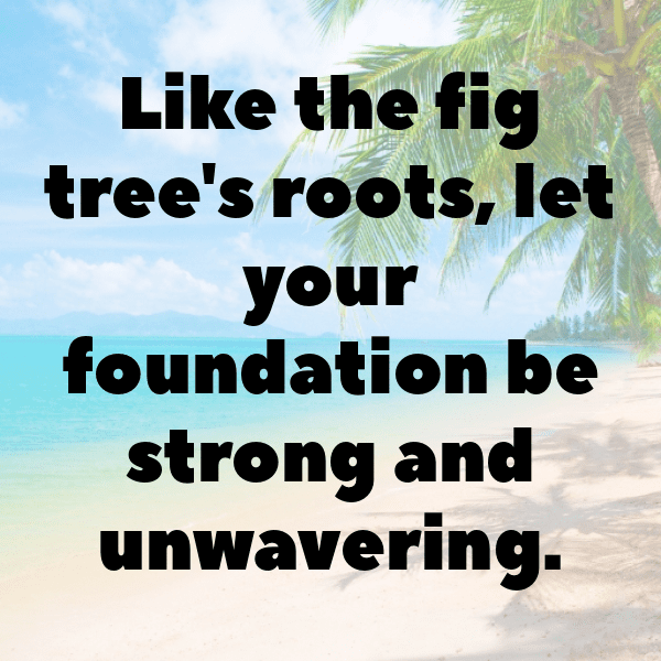 Fig Captions Photo For Instagram-seoEcY