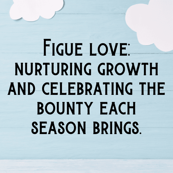 Fig Captions Photo For Instagram-vuGjOy