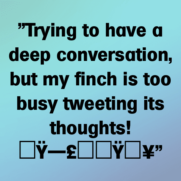 Finch Captions Image For Instagram-9Ponsx