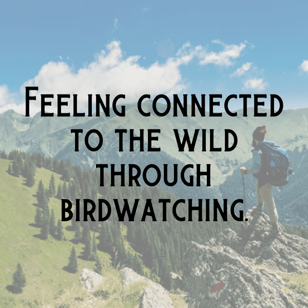 Finch Captions Image For Instagram-TQHRDk