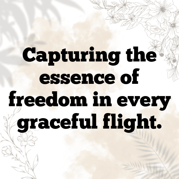 Finch Captions Image For Instagram-ymby1h