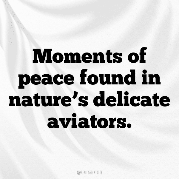 Finch Captions Photo For Instagram-DpfbSv