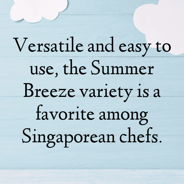 Finger Lime Captions Photo For Instagram-gRl4Tv