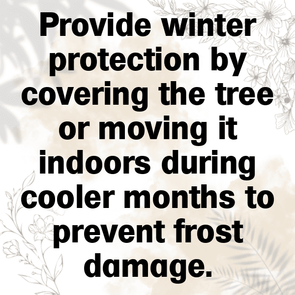 Finger Lime Captions Photo For Instagram-pAcwlO