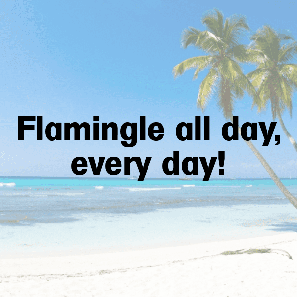 Flamingo Captions Photo For Instagram-THpOZ9