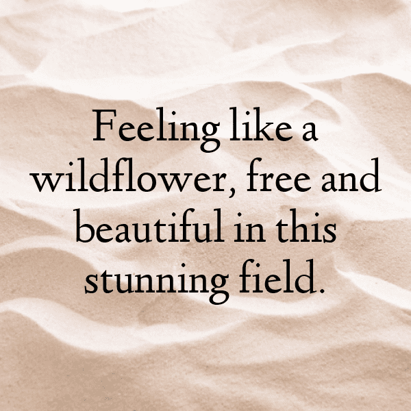 Flower Field Captions Image for Instagram-4njZ2b