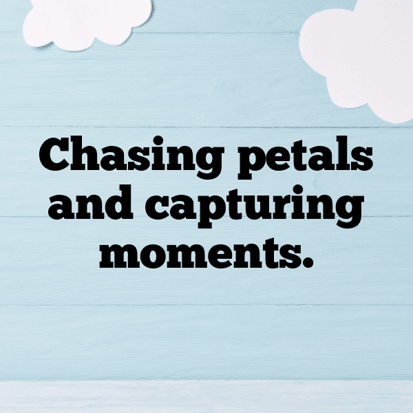 Flower Field Captions Image for Instagram-QhVDFq