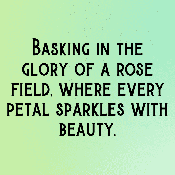 Flower Field Captions Image for Instagram-Sj7iJd