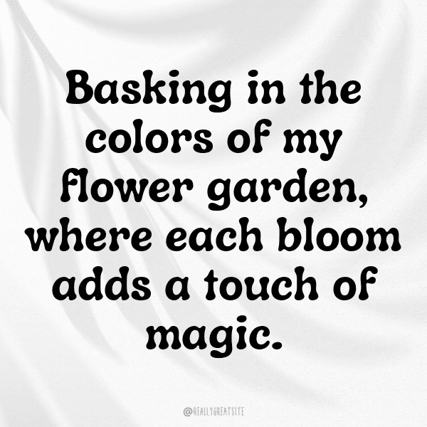 Flower Field Captions Photo for Instagram-i93GUc