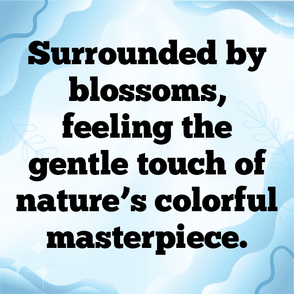 Flower Field Captions Photo for Instagram-krIYsg