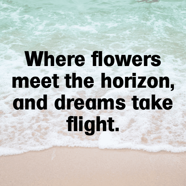 Flower Field Captions Photo for Instagram-w5utW5