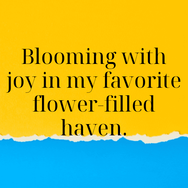 Flower Field Captions Photo for Instagram-yHN9h1