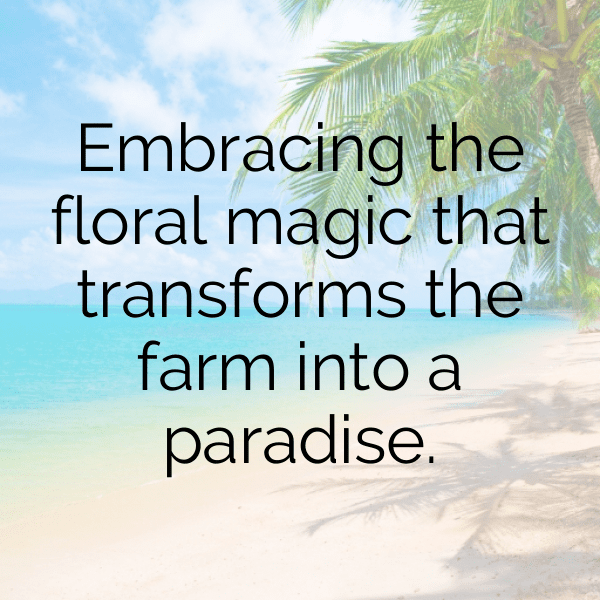 Flowery Meadow Captions Image for Instagram-BaTWjn