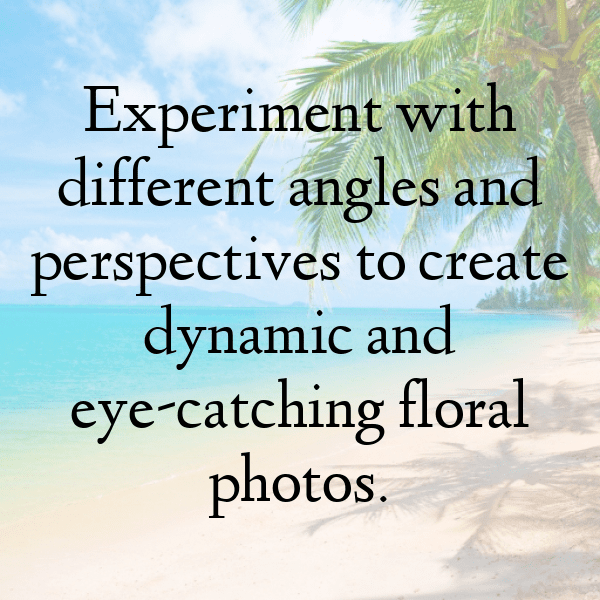 Flowery Meadow Captions Photo for Instagram-25homM