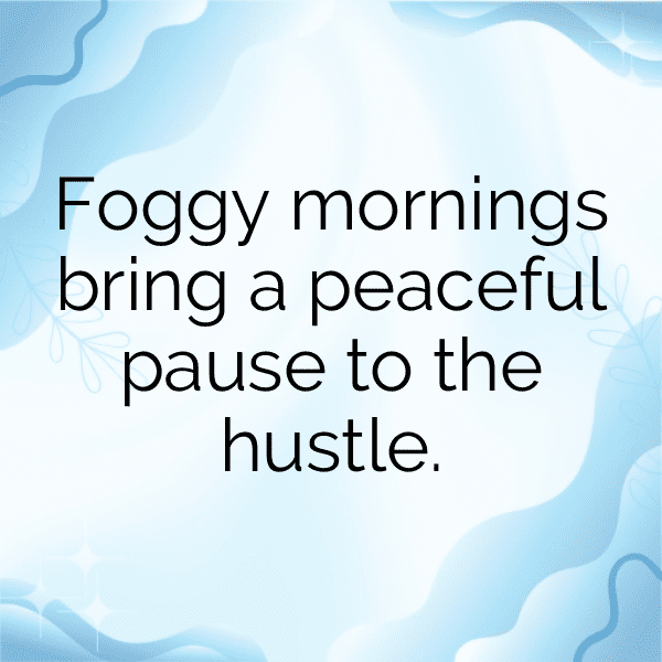 Foggy Morning Captions Image for Instagram-bxQPru