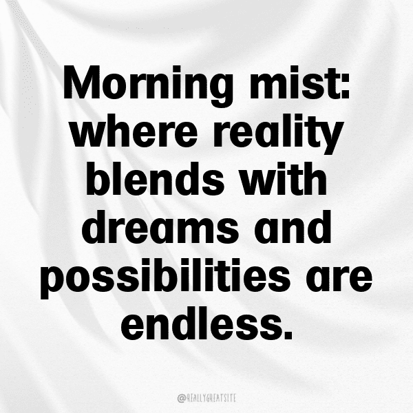 Foggy Morning Captions Photo for Instagram-1OJPor