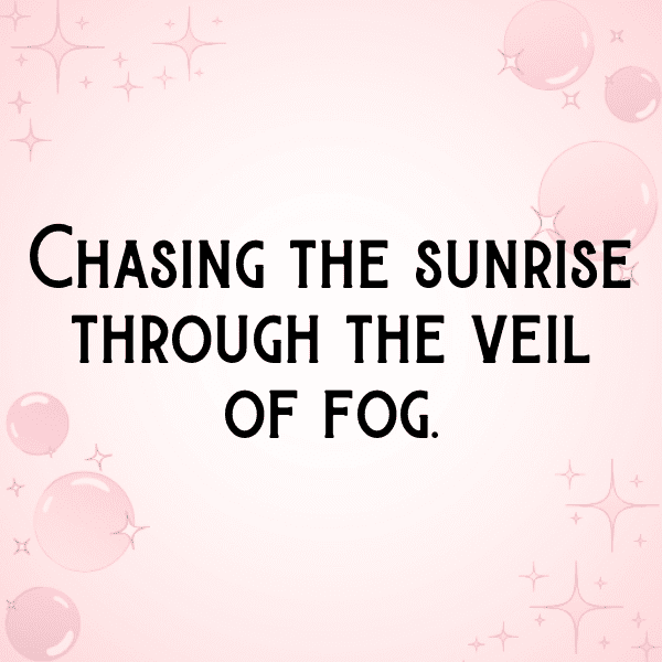 Foggy Morning Captions Photo for Instagram-lIVAhj