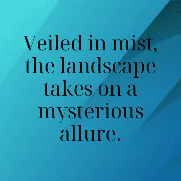 Foggy Morning Captions Photo for Instagram-Mczza9