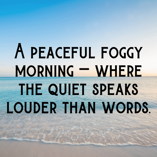 Foggy Morning Captions Photo for Instagram-XB1kz9
