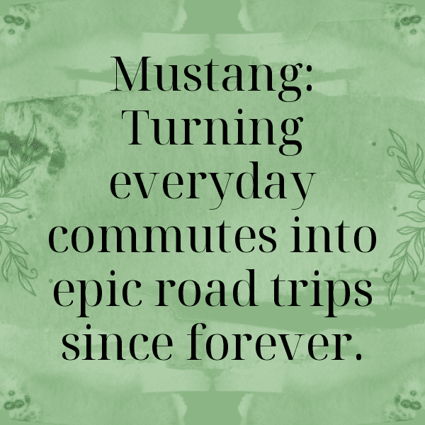 Ford Mustang Captions Photo for Instagram-4hcZJY