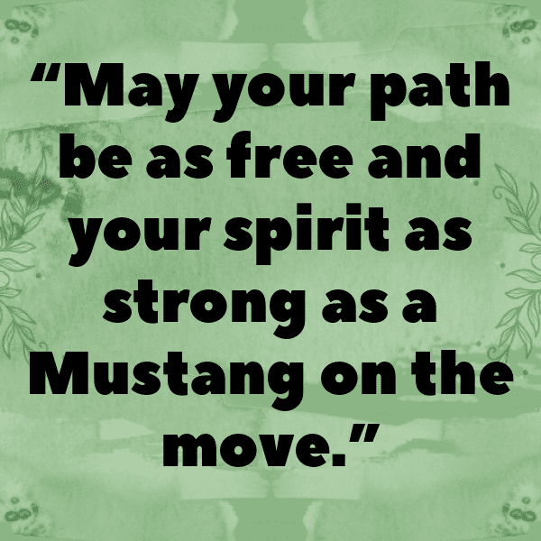 Ford Mustang Captions Photo for Instagram-uojb5P