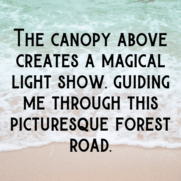 Forest Adventure Captions Image for Instagram-7Jc1NL