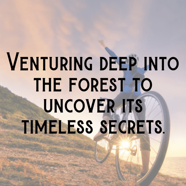 Forest Adventure Captions Image for Instagram-ejhUy9