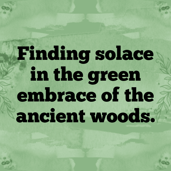 Forest Adventure Captions Image for Instagram-fUU1en