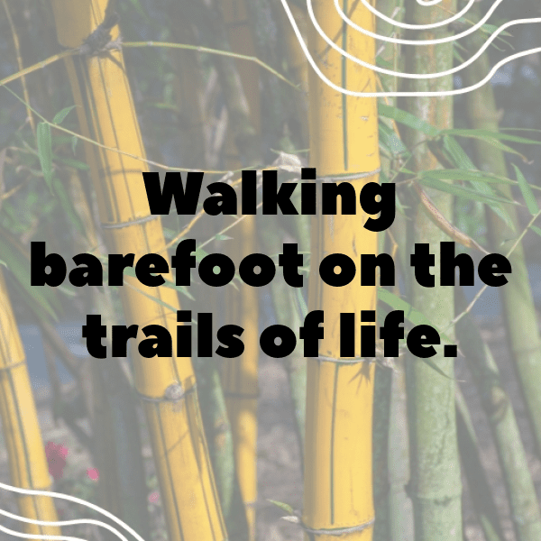 Forest Adventure Captions Image for Instagram-hQK2kv