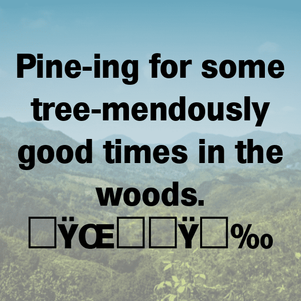 Forest Adventure Captions Photo for Instagram-Da3oG0