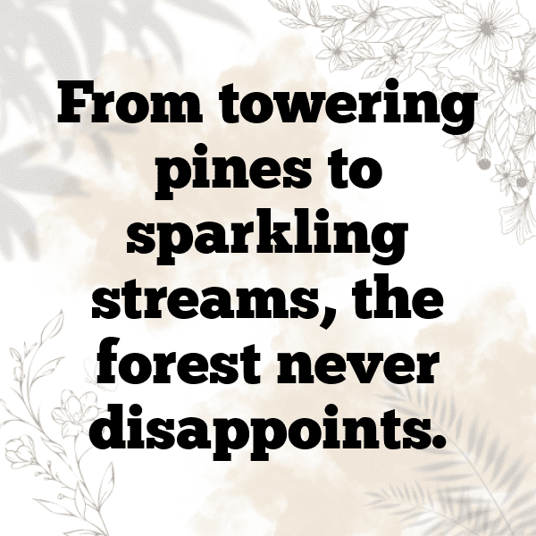 Forest Adventure Captions Photo for Instagram-h5ube4