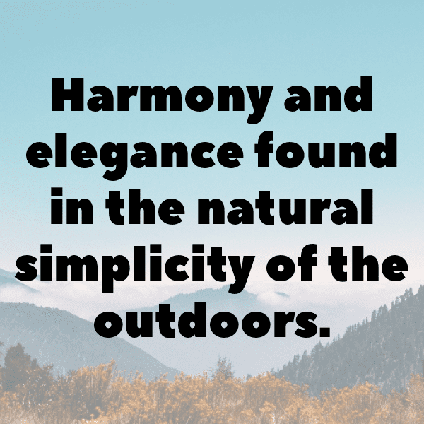 Forest Adventure Captions Photo for Instagram-HtSaRH