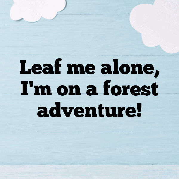 Forest Adventure Captions Photo for Instagram-NdqbSf