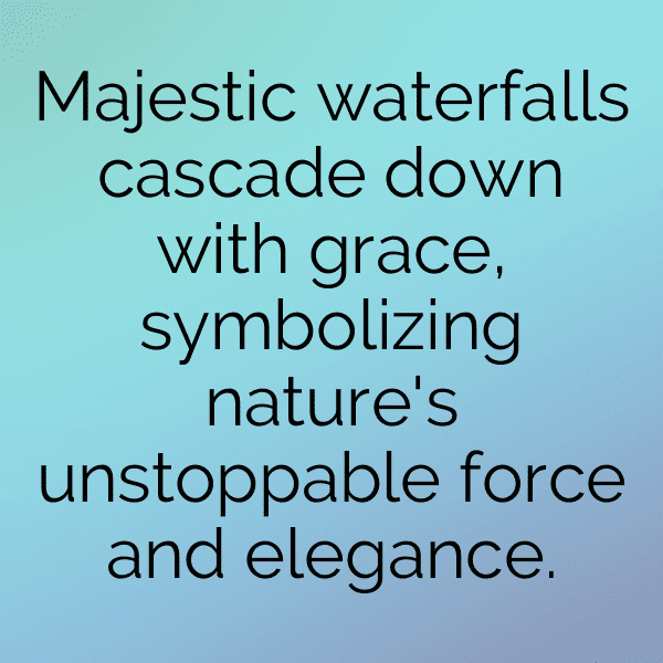 Forest Adventure Captions Photo for Instagram-P4yW8P