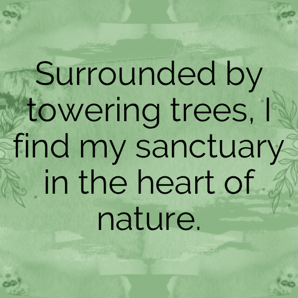Forest Bathing Captions Image for Instagram-0nfWc2