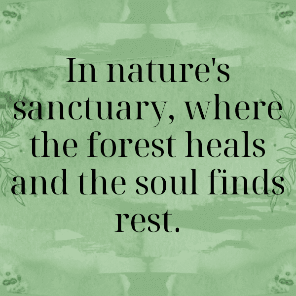 Forest Bathing Captions Image for Instagram-epOmxl