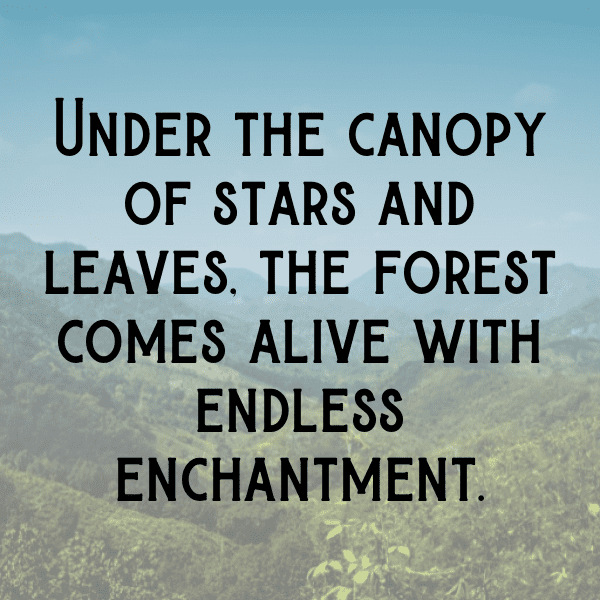 Forest Bathing Captions Image for Instagram-I4sTdY