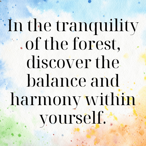 Forest Bathing Captions Image for Instagram-KYKITK