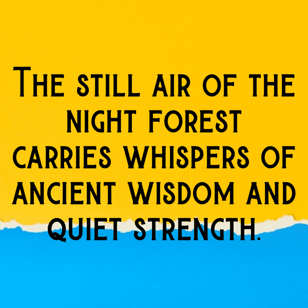 Forest Bathing Captions Photo for Instagram-e34gk1