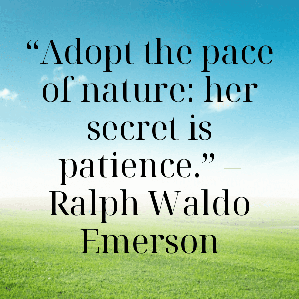 Forest Bathing Captions Photo for Instagram-pl3xrx