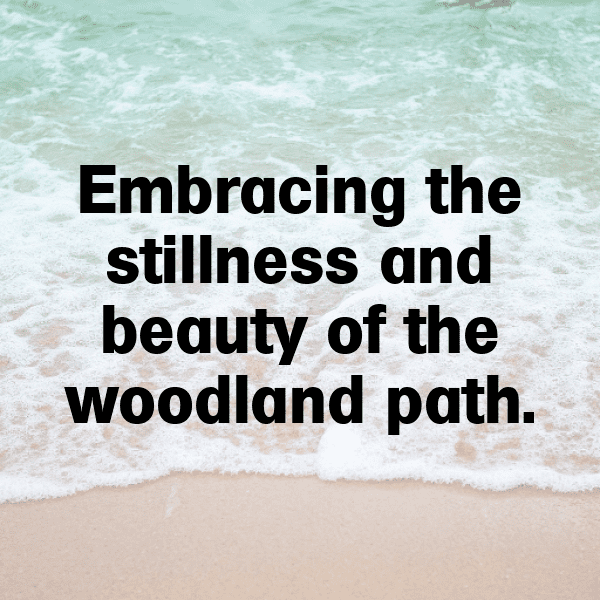 Forest Bathing Captions Photo for Instagram-wNUhgi