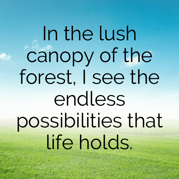 Forest Bathing Captions Photo for Instagram-wOVmZG