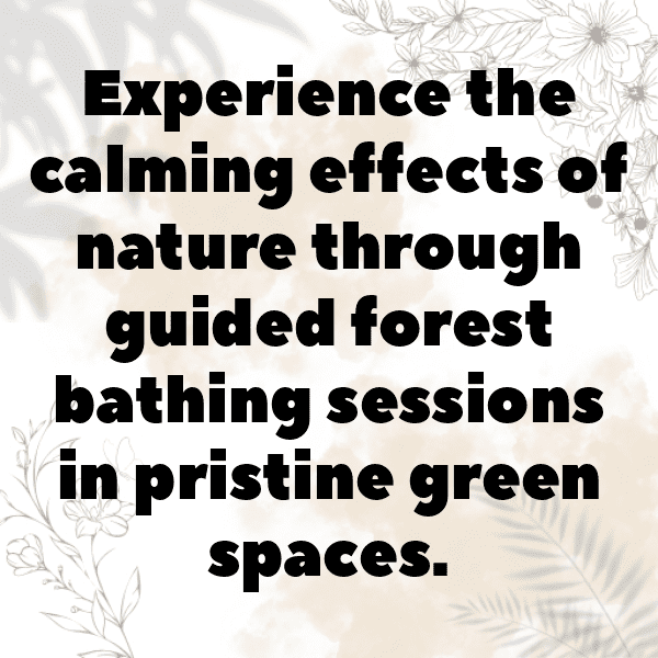 Forest Bathing Captions Photo for Instagram-ZOf2Xl