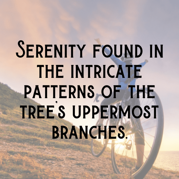 Forest Canopy Captions Image for Instagram-6oDZ77