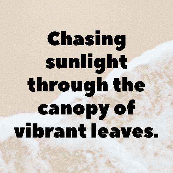 Forest Canopy Captions Photo for Instagram-O6TvVq