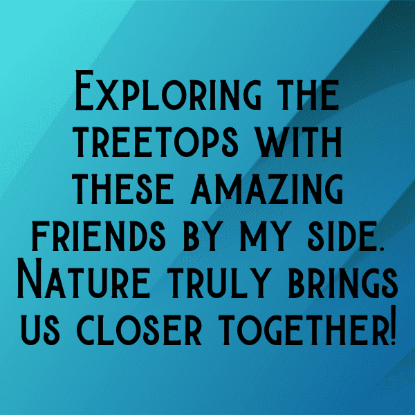 Forest Canopy Captions Photo for Instagram-tXPLfZ