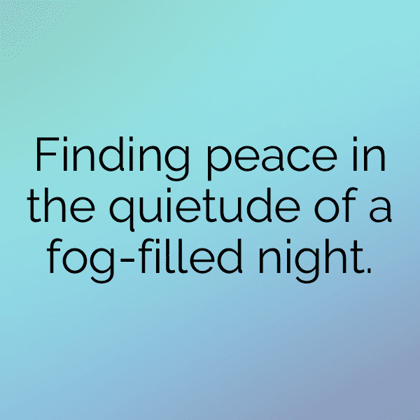 Forest Mist Captions Image for Instagram-btLn5r