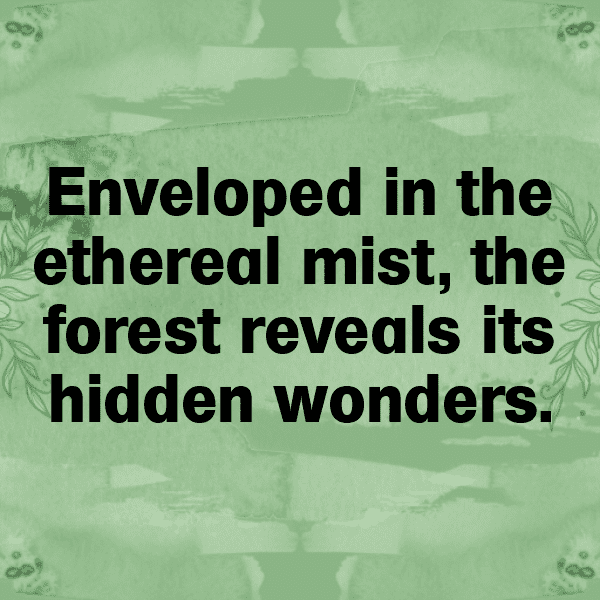 Forest Mist Captions Image for Instagram-lzlw2P