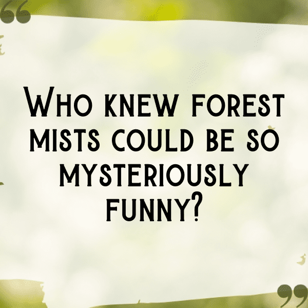 Forest Mist Captions Photo for Instagram-1kxHJb